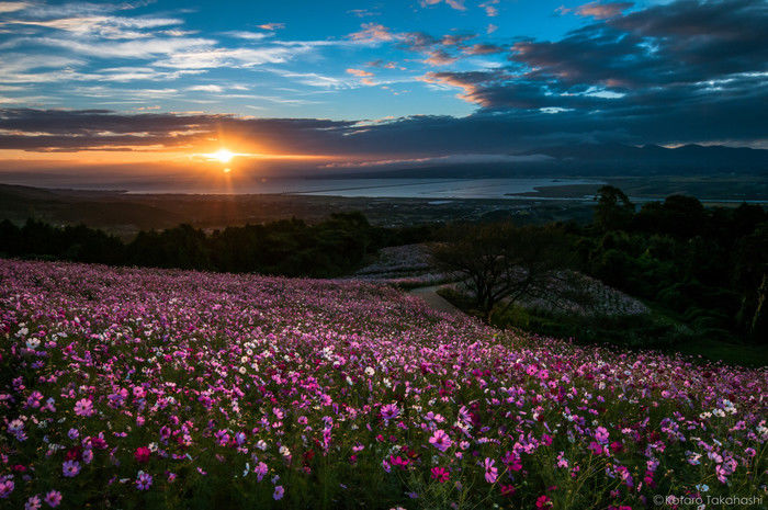 夕日が沈む長崎県雲仙市の仁田峠
