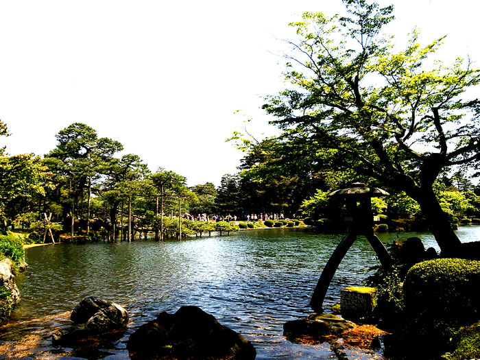 石川県加賀市の池