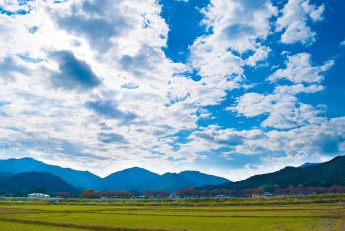 青空と田んぼ