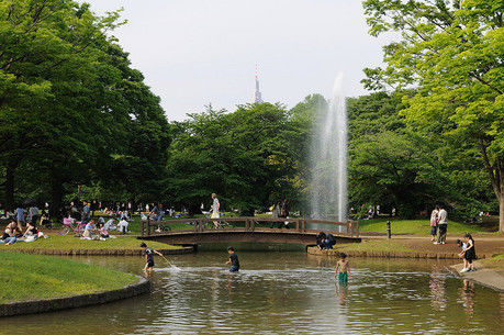 【渋谷区】代々木公園の噴水