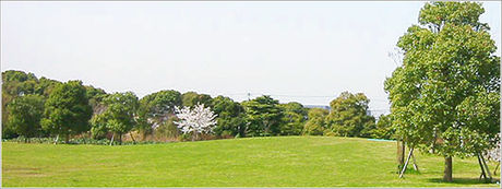 【品川区】大井ふ頭中央海浜公園