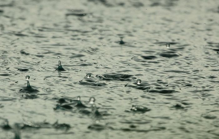 雨が落ちている水面