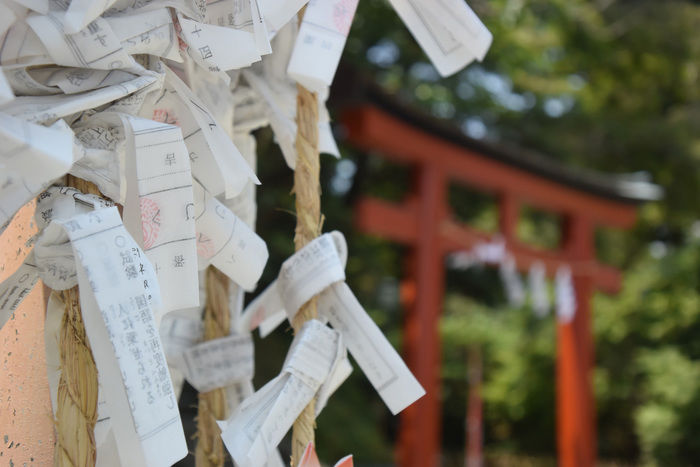 鶴岡八幡宮のおみくじ結び所