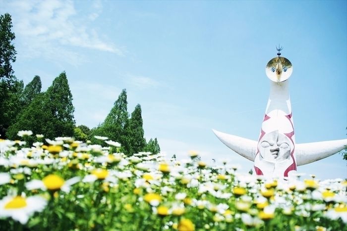 万博記念公園の花と太陽の塔