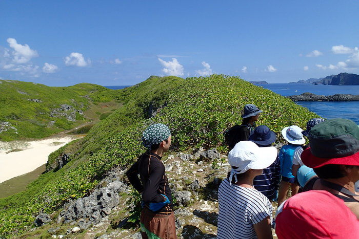 南島の丘の上から景色を眺める人々