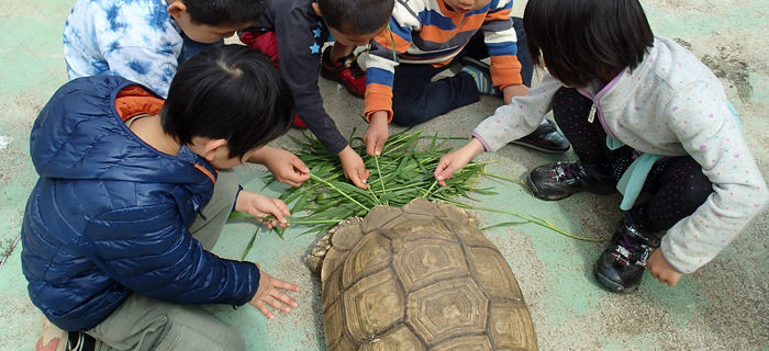 ふれあい動物園で陸ガメと遊ぶ子供達
