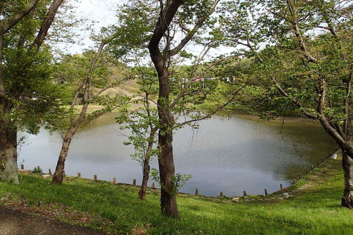 水海道あすなろの里の湖の様子