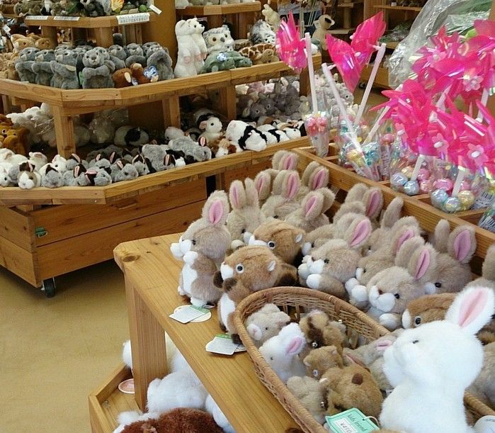 実際に行ってきた 町田リス園は小動物とのふれあいパラダイス キャンプ アウトドア情報メディアhinata