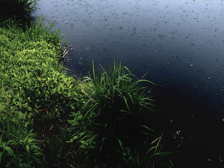 雨の様子
