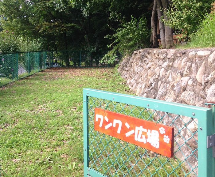 長瀞オートキャンプ場のドックラン
