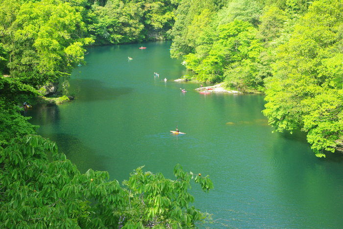 多摩川でカヤックをする人々