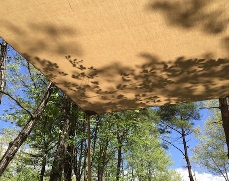 オープンタープに映る木陰と青空
