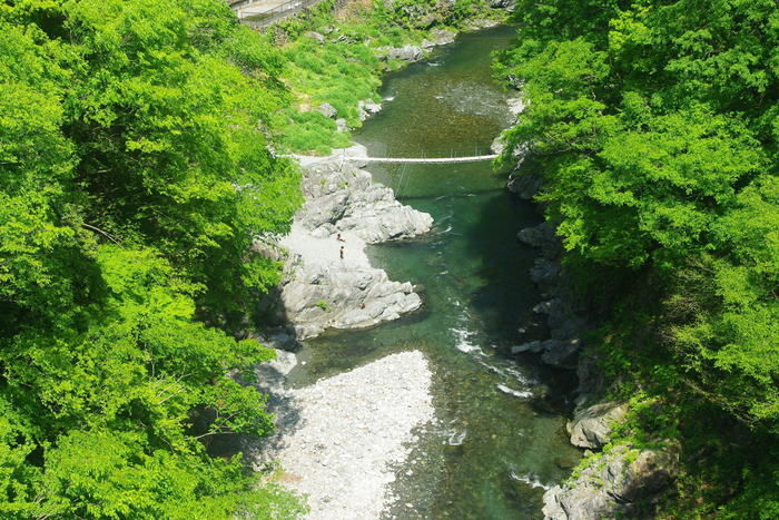 奥多摩の自然に囲まれた川