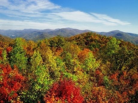 彩に包まれた山