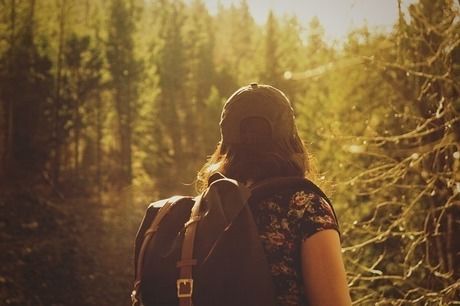 林を見つめる女性の後ろ姿