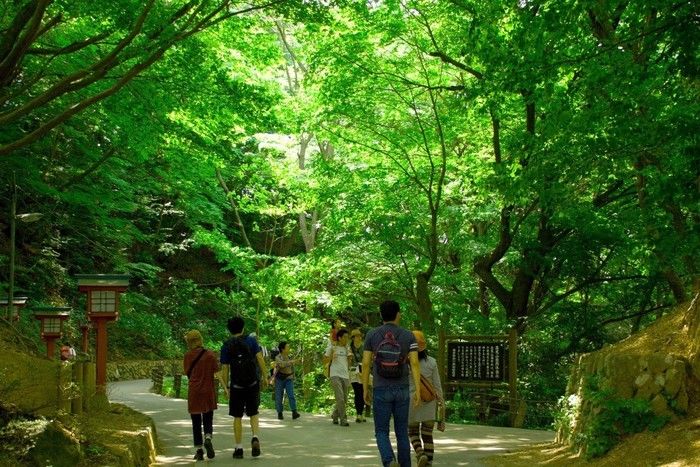 山の風景を楽しむ人々