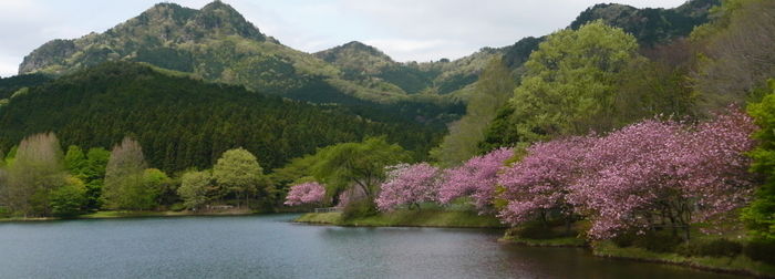 宇都宮森林公園キャンプ場のダム湖の周囲に広がる大自然と四季により変わる木々や花の景色