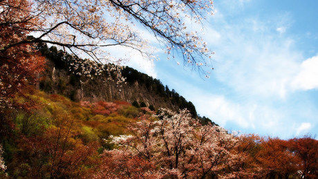 秋の曽爾村の風景