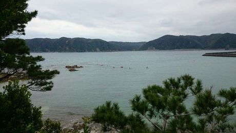 綺麗な海