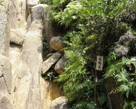 六甲山の荒地山の岩梯子
