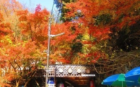 秋の六甲山のロックガーデンコースの入り口