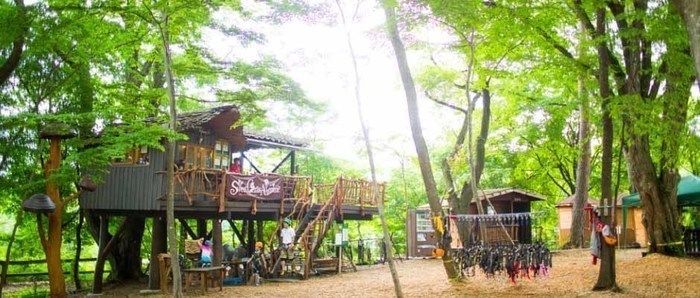 北軽井沢スウィートグラスのサイトの様子