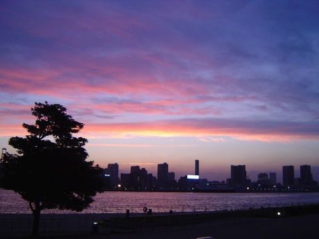 都立潮風公園 バーベキュー場から見える東京湾