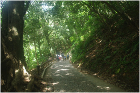 高尾山の表参道コース