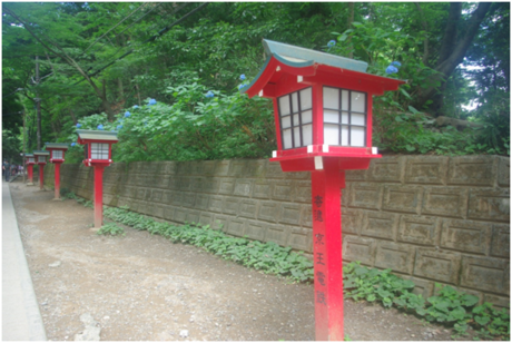 高尾山の表参道コース