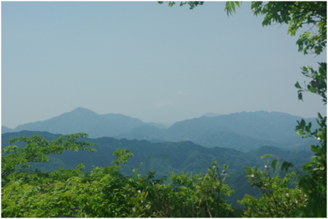 高尾山から見える富士山