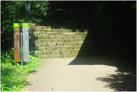 男坂と女坂のわかれ道