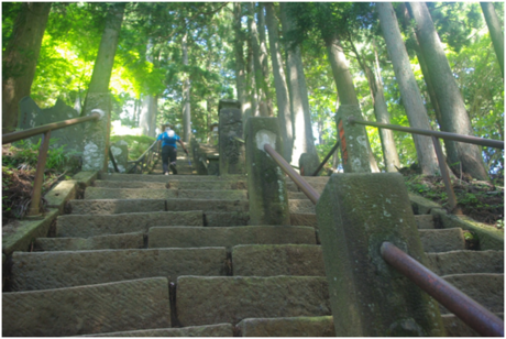 大山山頂への階段