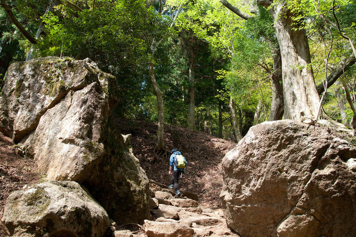 岩山を登る男性