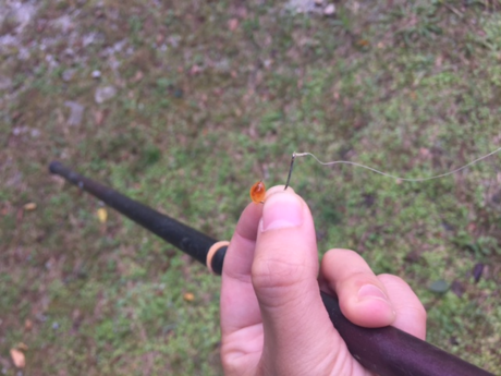 釣り針にささったいくら