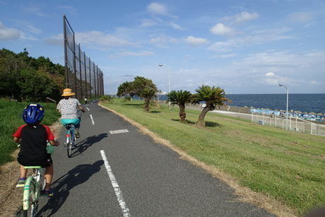 水平線の景色を横に心地よい潮風を感じられる若洲公園キャンプ場のサイクリングロード