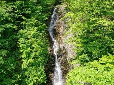 東京都檜腹都民の森の滝