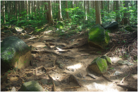 女体山山頂へ向かう白雲橋コースの山道