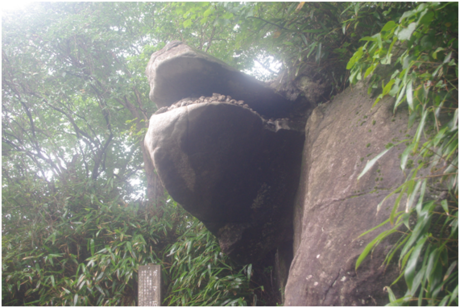 筑波山のガマ石