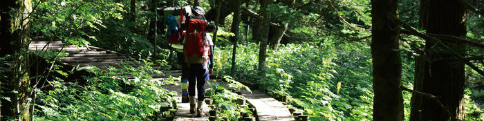 登山をする男性