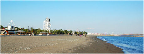 城南島海浜公園の浜辺