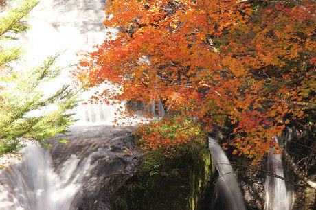 (関東/栃木県)竜頭ノ滝の紅葉