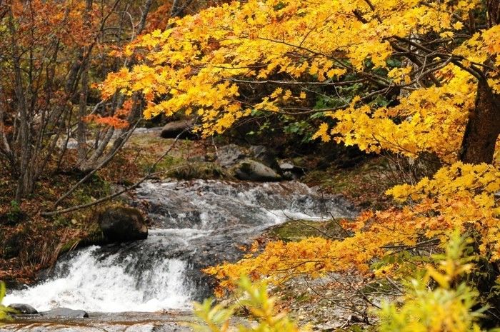 (関東/群馬県)照葉峡の紅葉