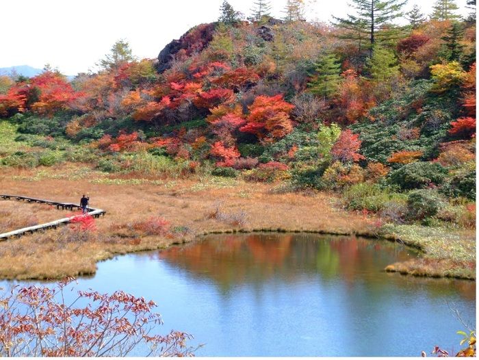群馬県、白根山の紅葉