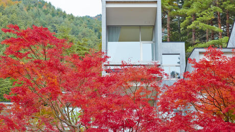 星のや富士の紅葉とキャビン