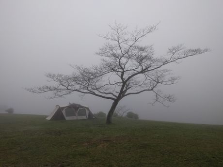 雲の中のテントの様子