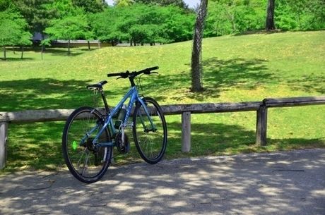 木陰に停められた自転車