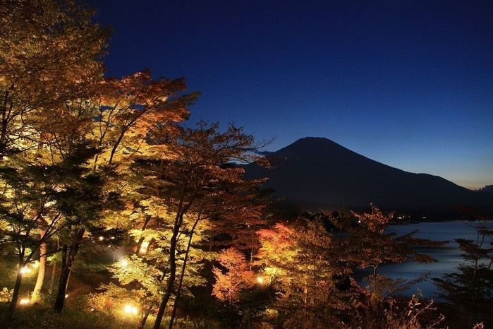 河口湖・山中湖の紅葉