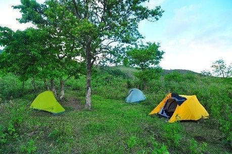 林間に張られたてテント