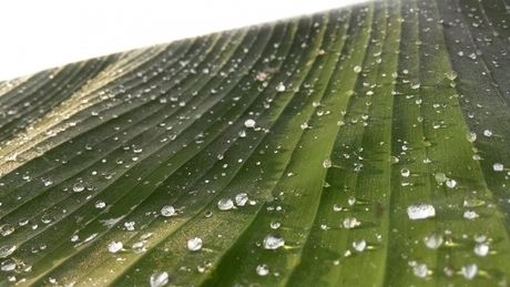 水を弾いている布の表面