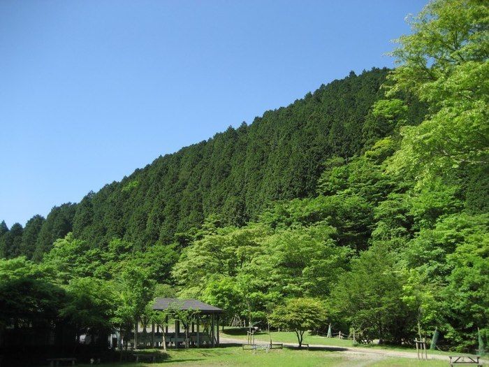 ボスコオートキャンプ場の様子